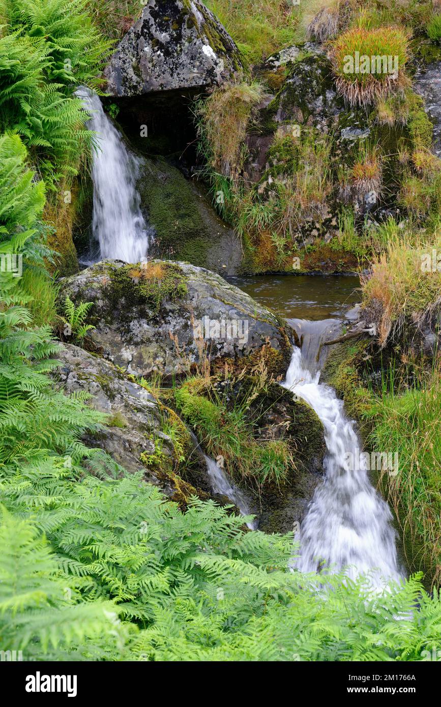 Small Waterfall on upper reaches of River Severn, Powys, Central Wales, UK Stock Photo