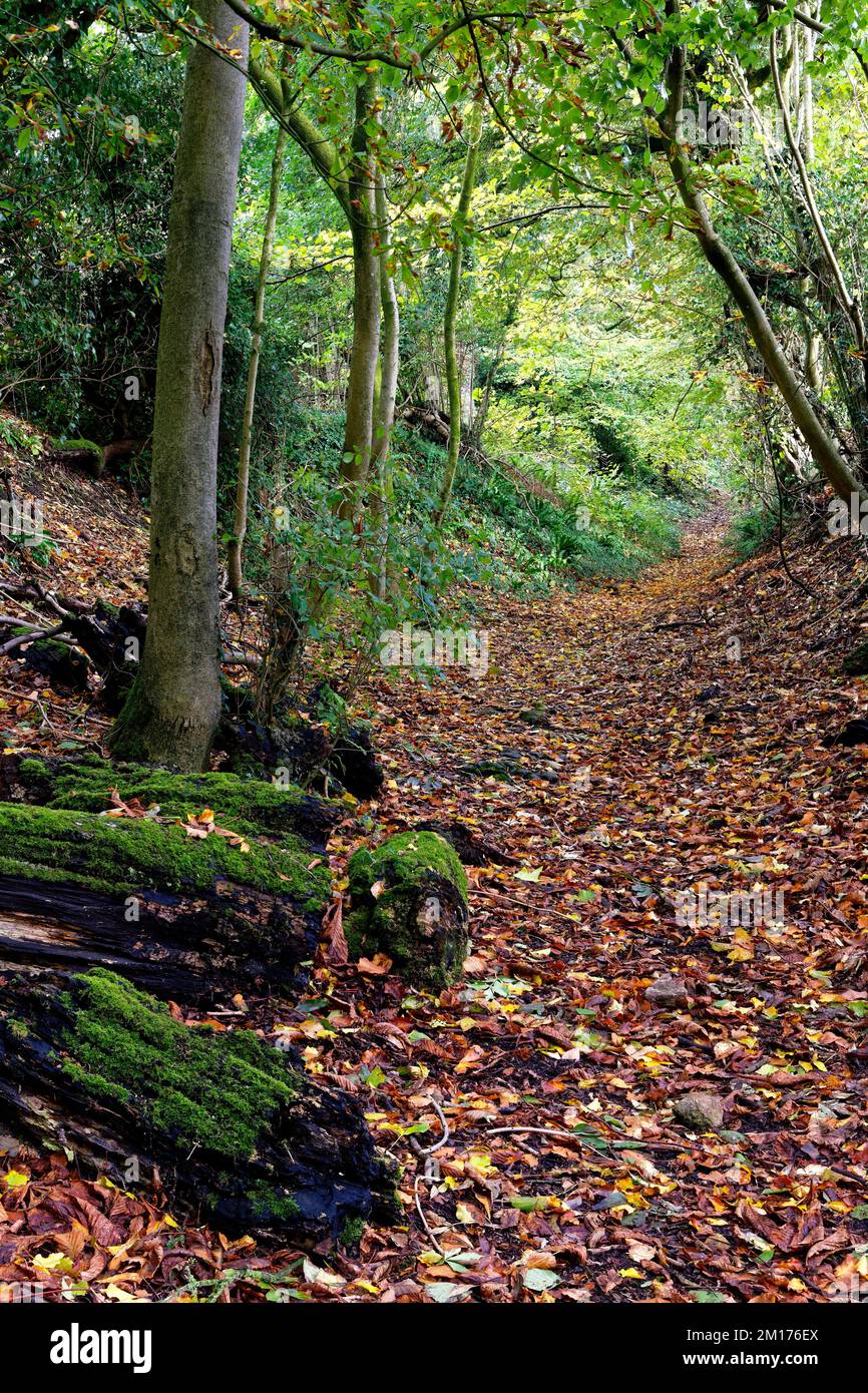 Horton court cotswolds hires stock photography and images Alamy