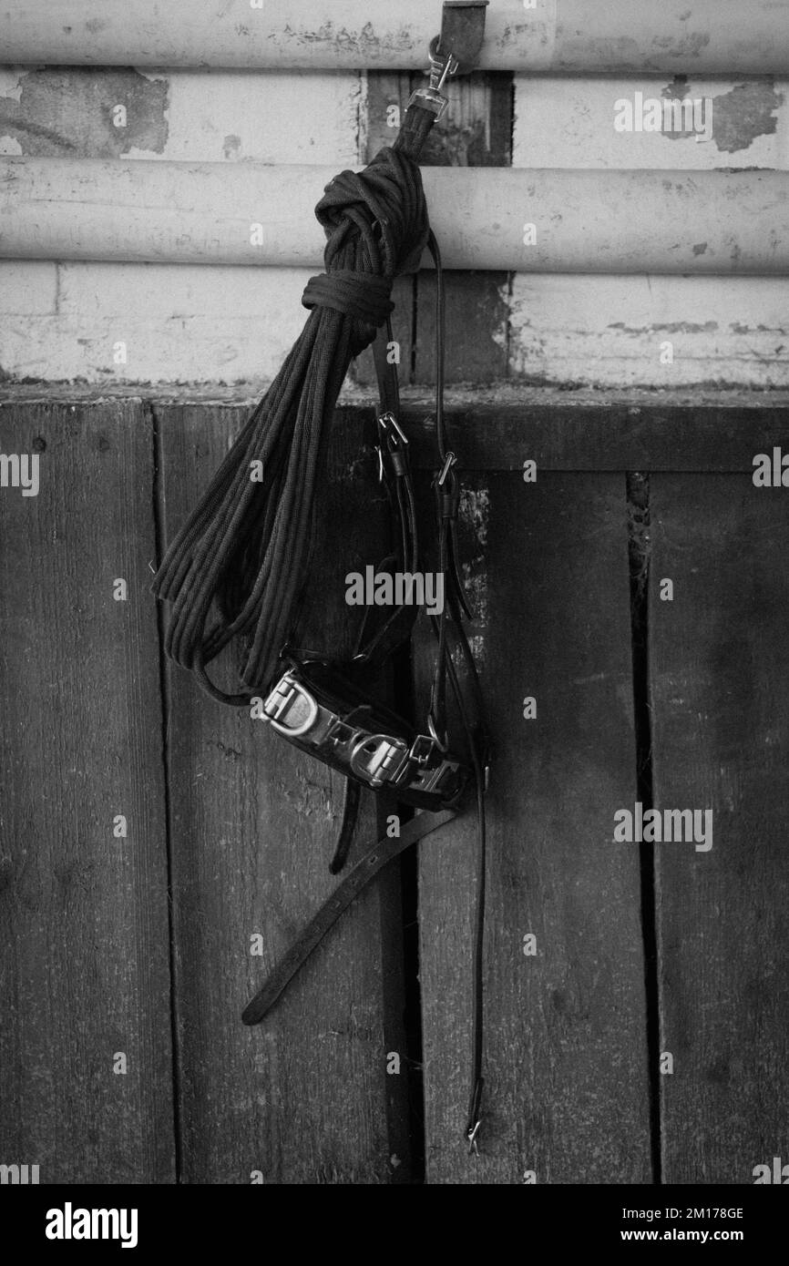A vertical grayscale shot of a horse collar and rope hanging on a barn