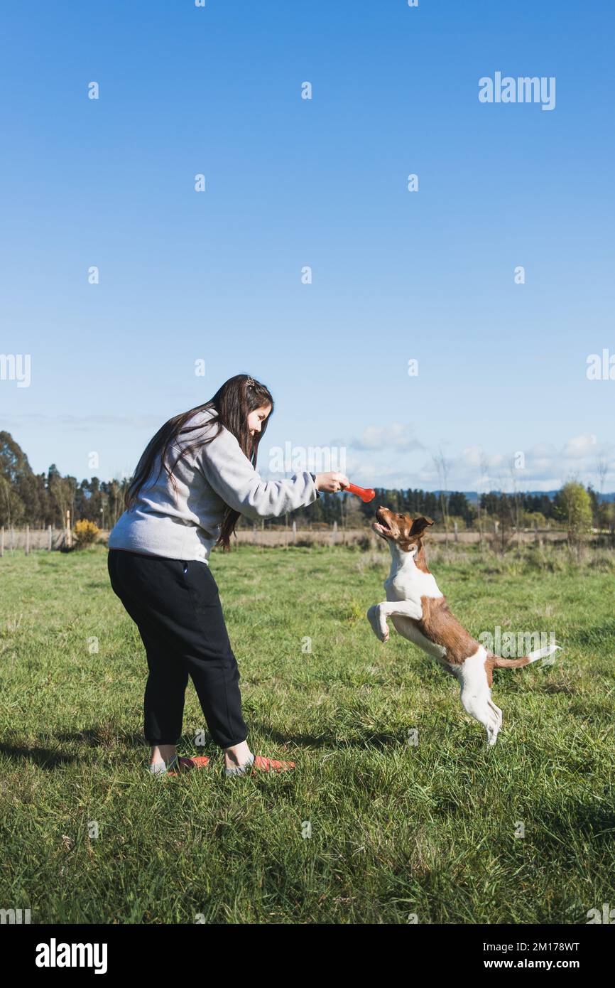 Wide shot young woman playing with her puppy and enjoying the moment in nature. Pet toys Stock Photo