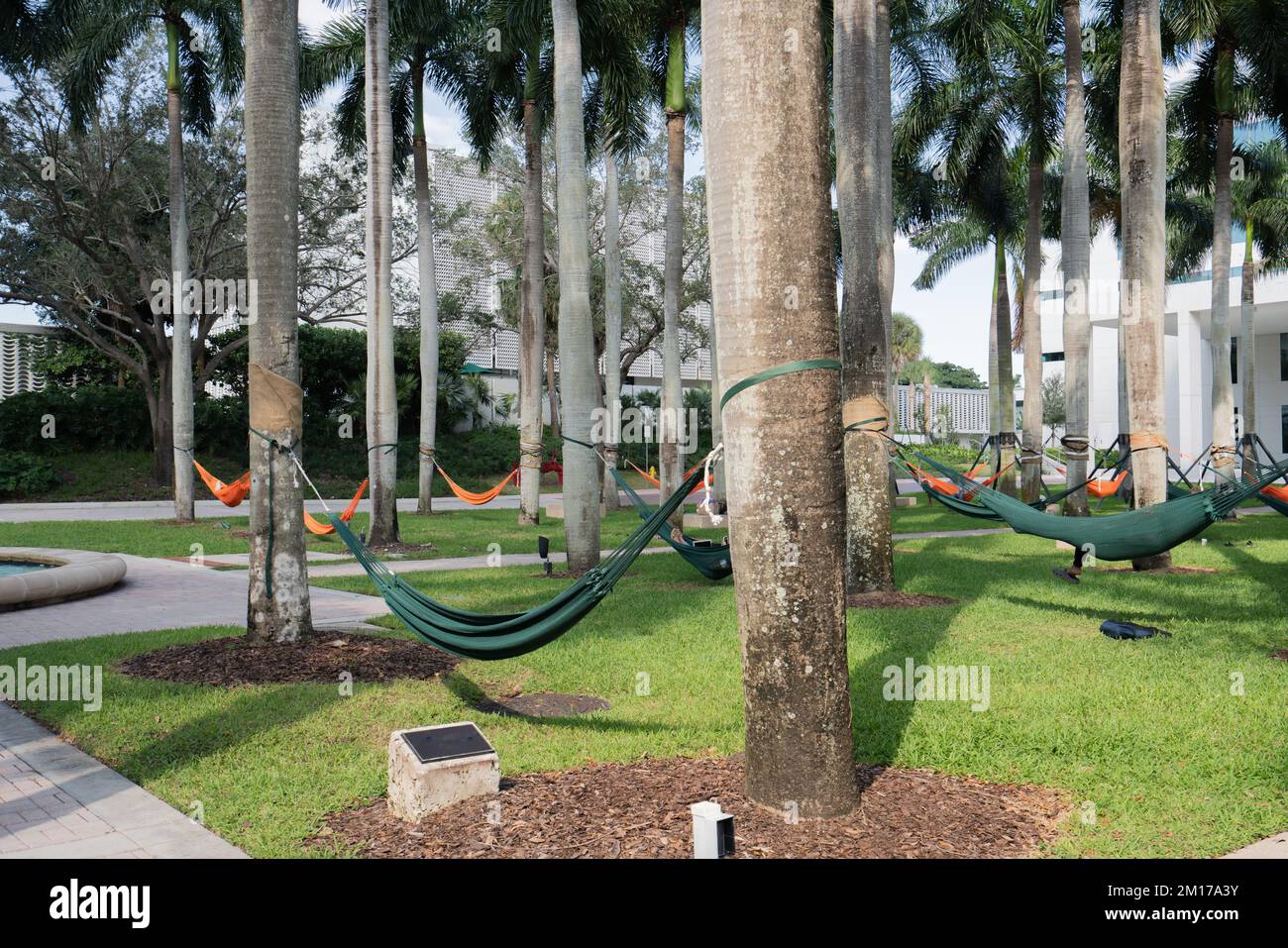 Hammock park in South Florida Stock Photo Alamy