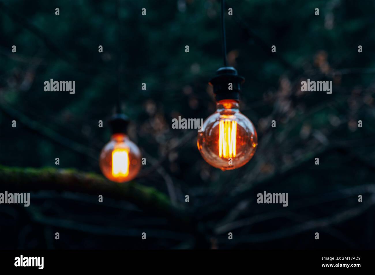 Light bulbs on dark blurred background. Selective focus. Stock Photo