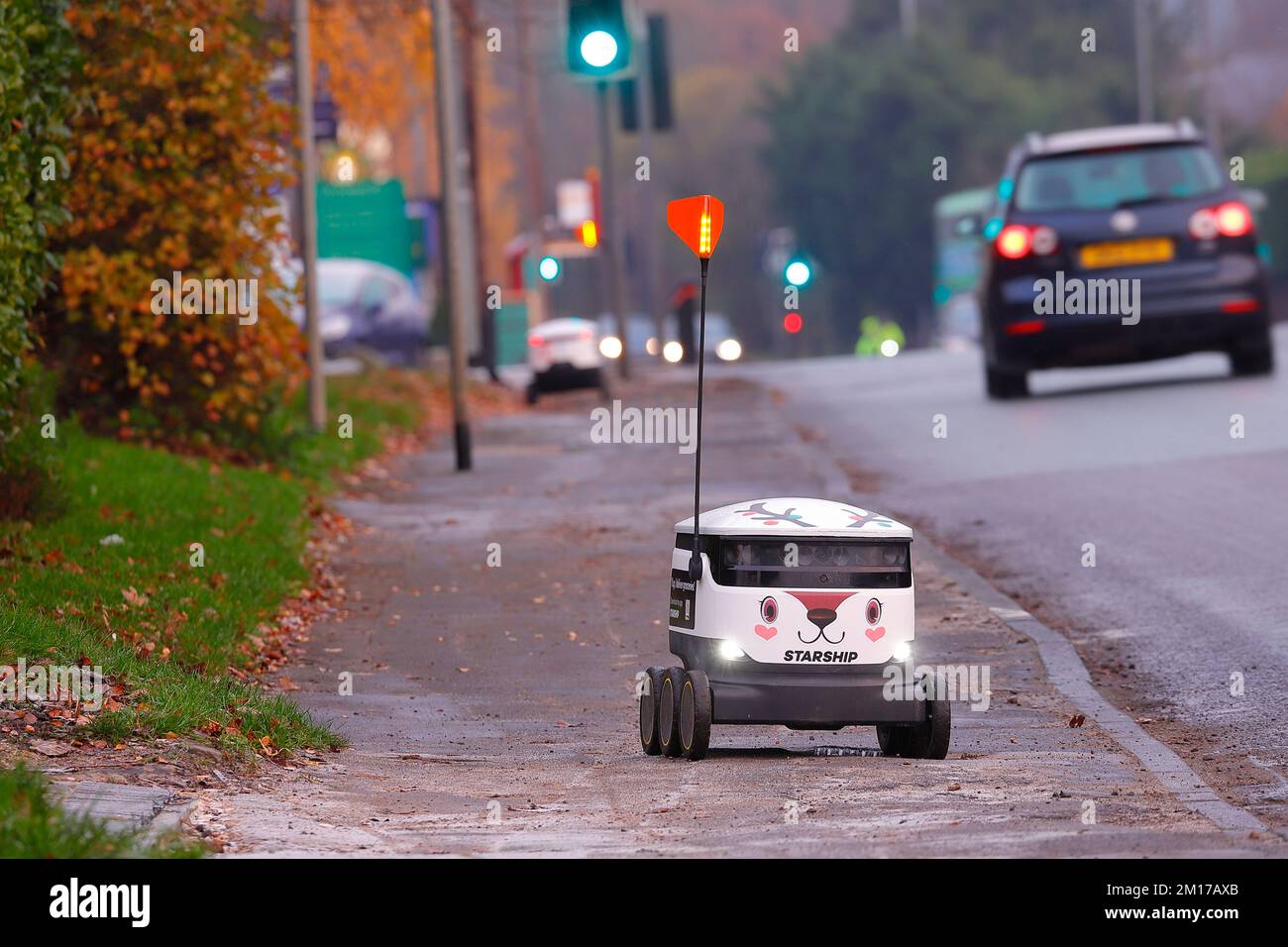 Supermarket christmas deliveries
