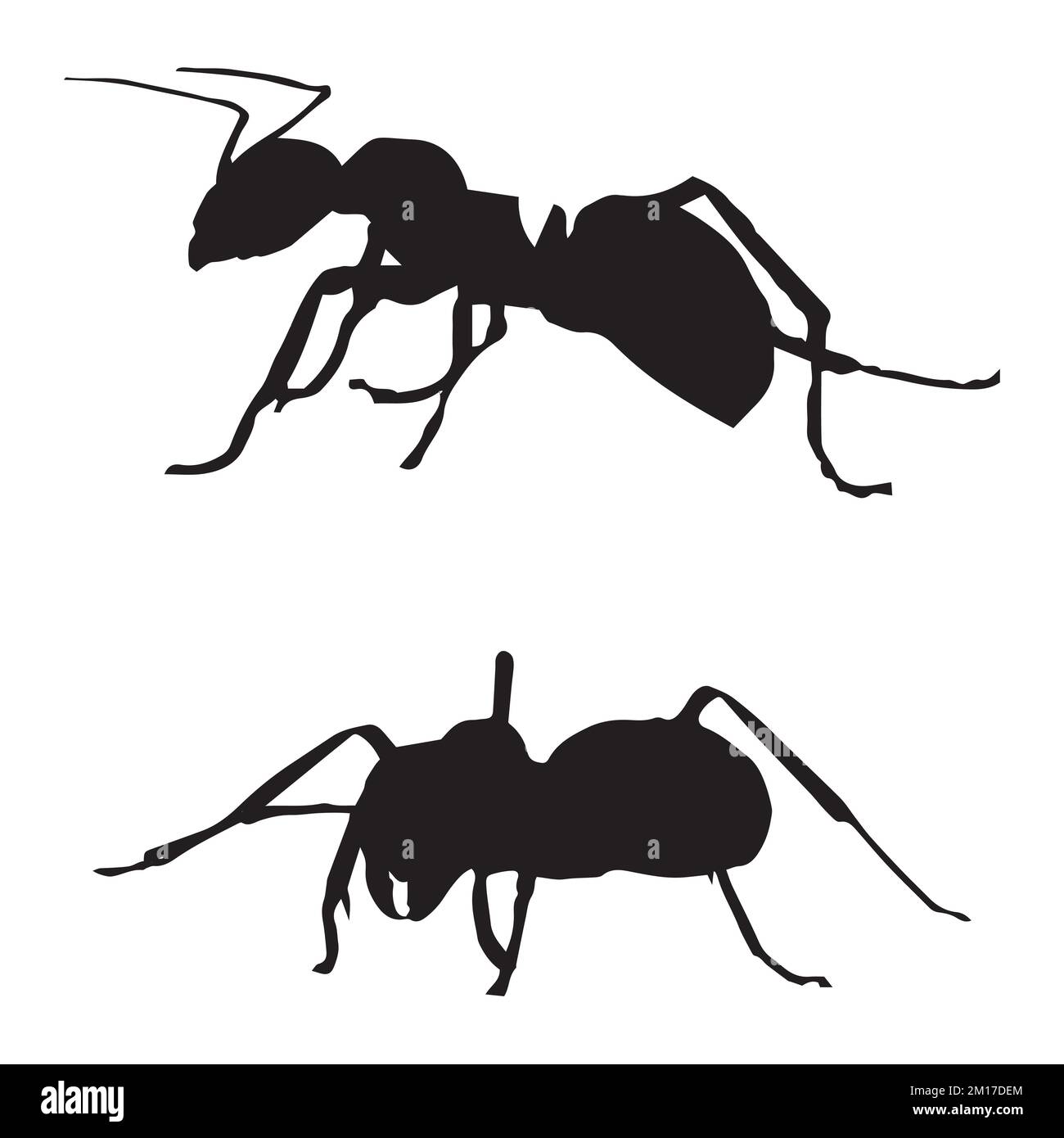 Vector Illustration of Ant Silhouette Stock Vector Image & Art - Alamy