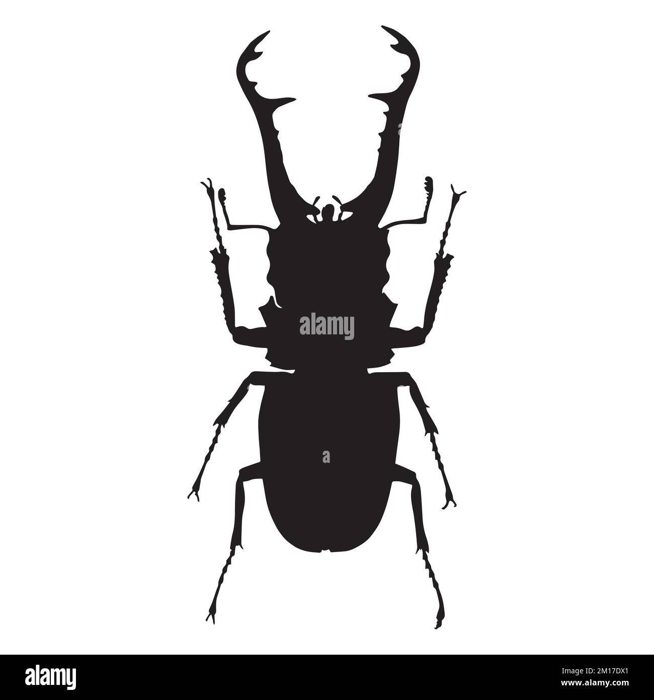 Vector Illustration of Beetle Silhouette Stock Vector