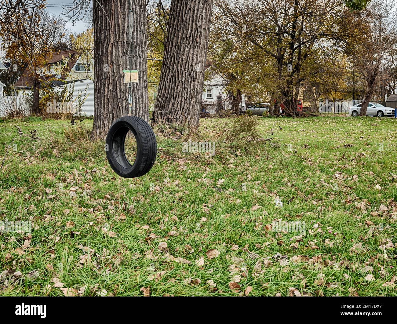 A black tire swing hangs from a tree in a lot where a house once stood