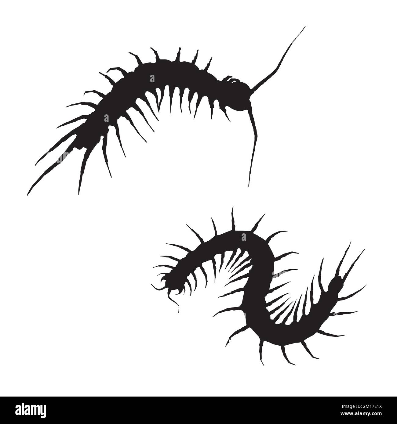 Centipede Silhouette Art Stock Vector