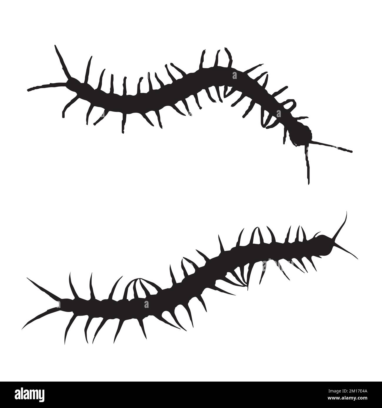 Centipede Silhouette Art Stock Vector Image & Art Alamy