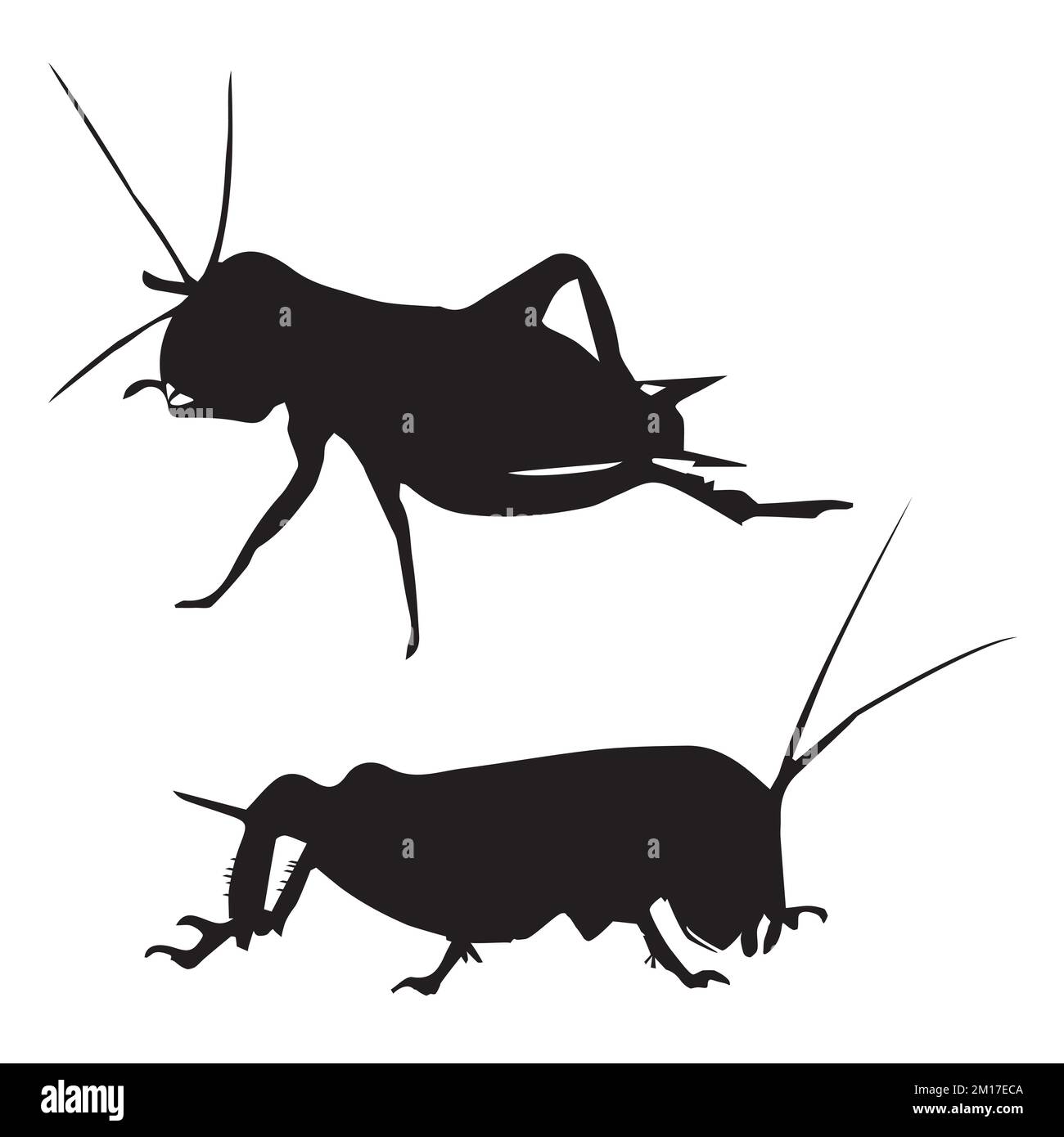 Vector Illustration of Cricket Silhouette Stock Vector