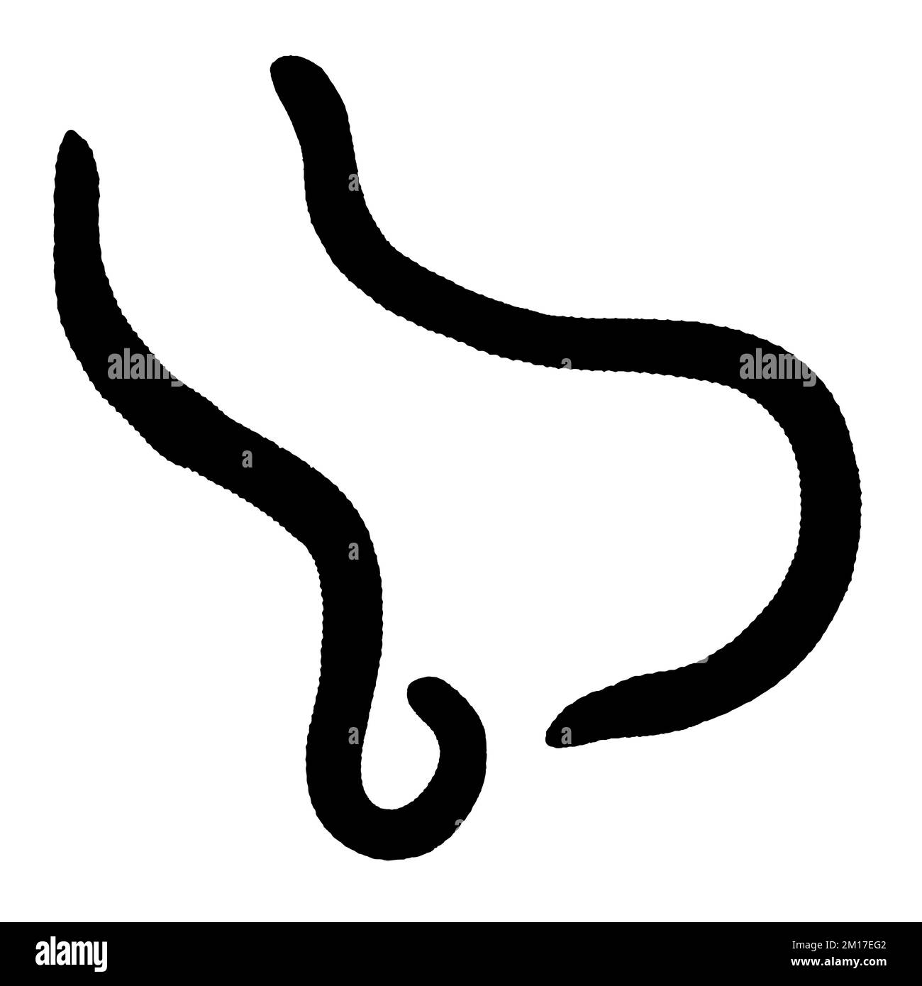 Vector Art of Earthworm Silhouette Stock Vector