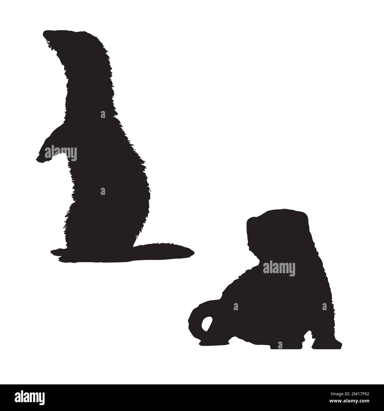 Ferret Art Silhouette Stock Vector Image Art Alamy ferret-art-silhouette-stock-vector-image-art-alamy