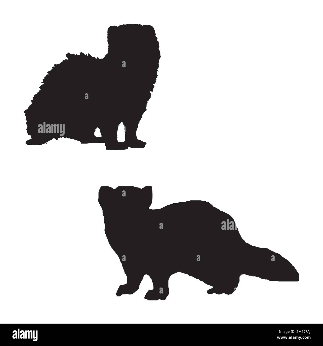 Ferret Art Silhouette Stock Vector Image Art Alamy ferret-art-silhouette-stock-vector-image-art-alamy