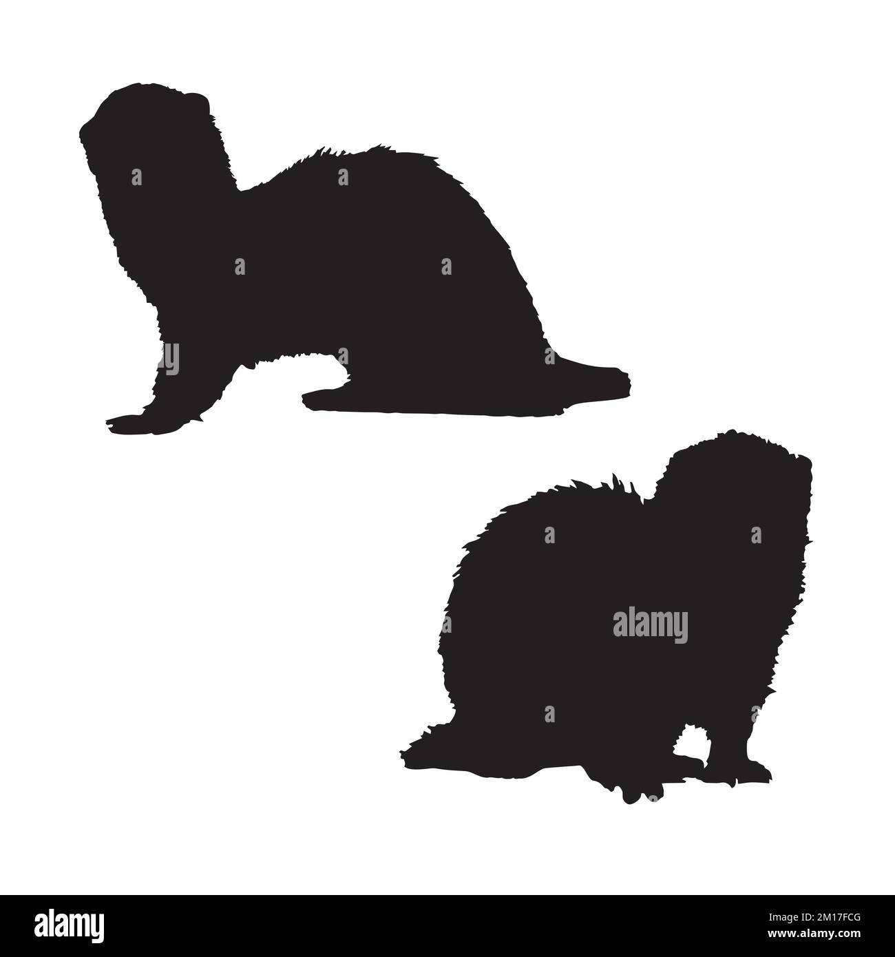 Ferret Art Silhouette Stock Vector Image Art Alamy ferret-art-silhouette-stock-vector-image-art-alamy