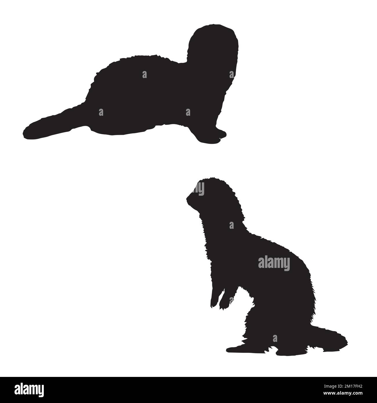 Ferret Art Silhouette Stock Vector