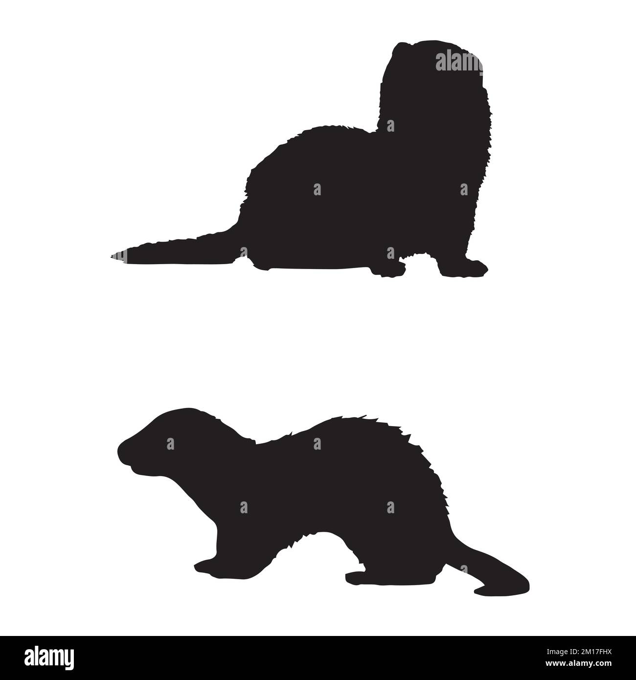 Ferret Art Silhouette Stock Vector Image Art Alamy ferret-art-silhouette-stock-vector-image-art-alamy