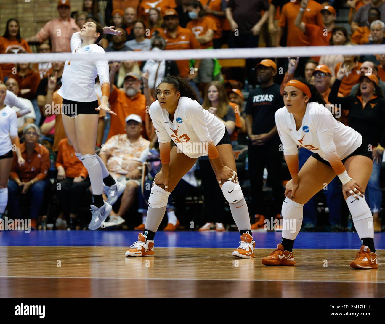 Logan eggleston hires stock photography and images Alamy