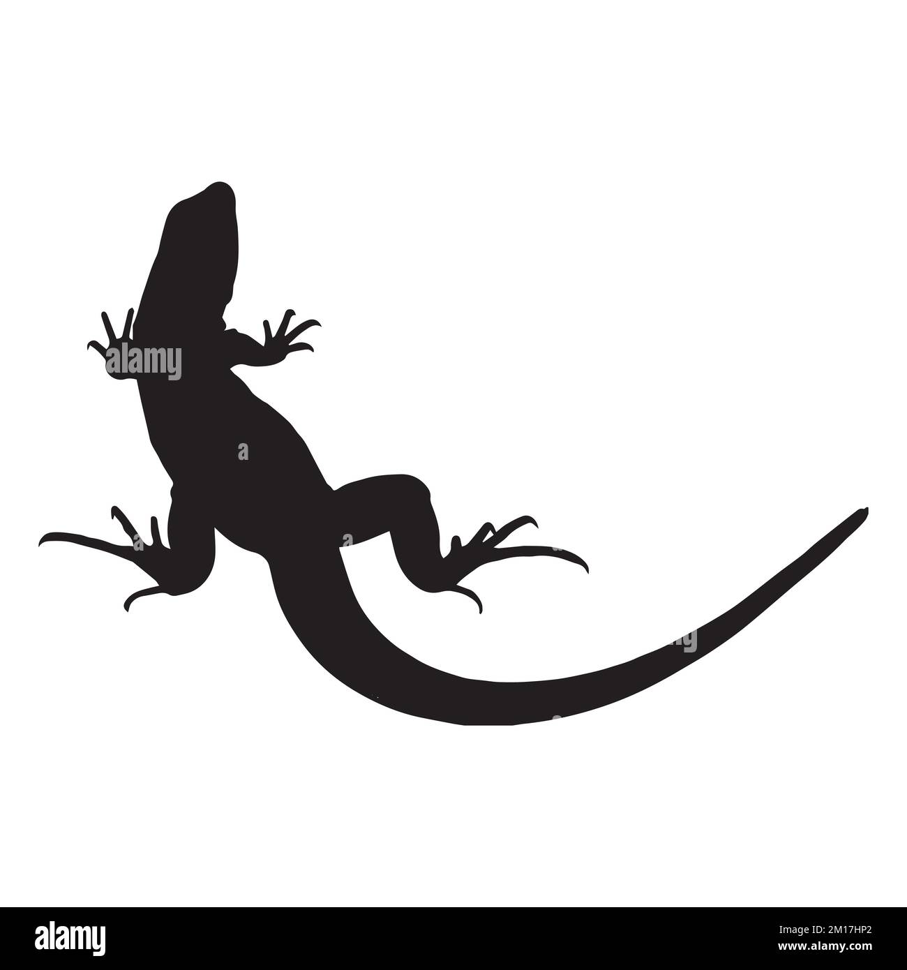 Purple lizard Cut Out Stock Images & Pictures - Alamy