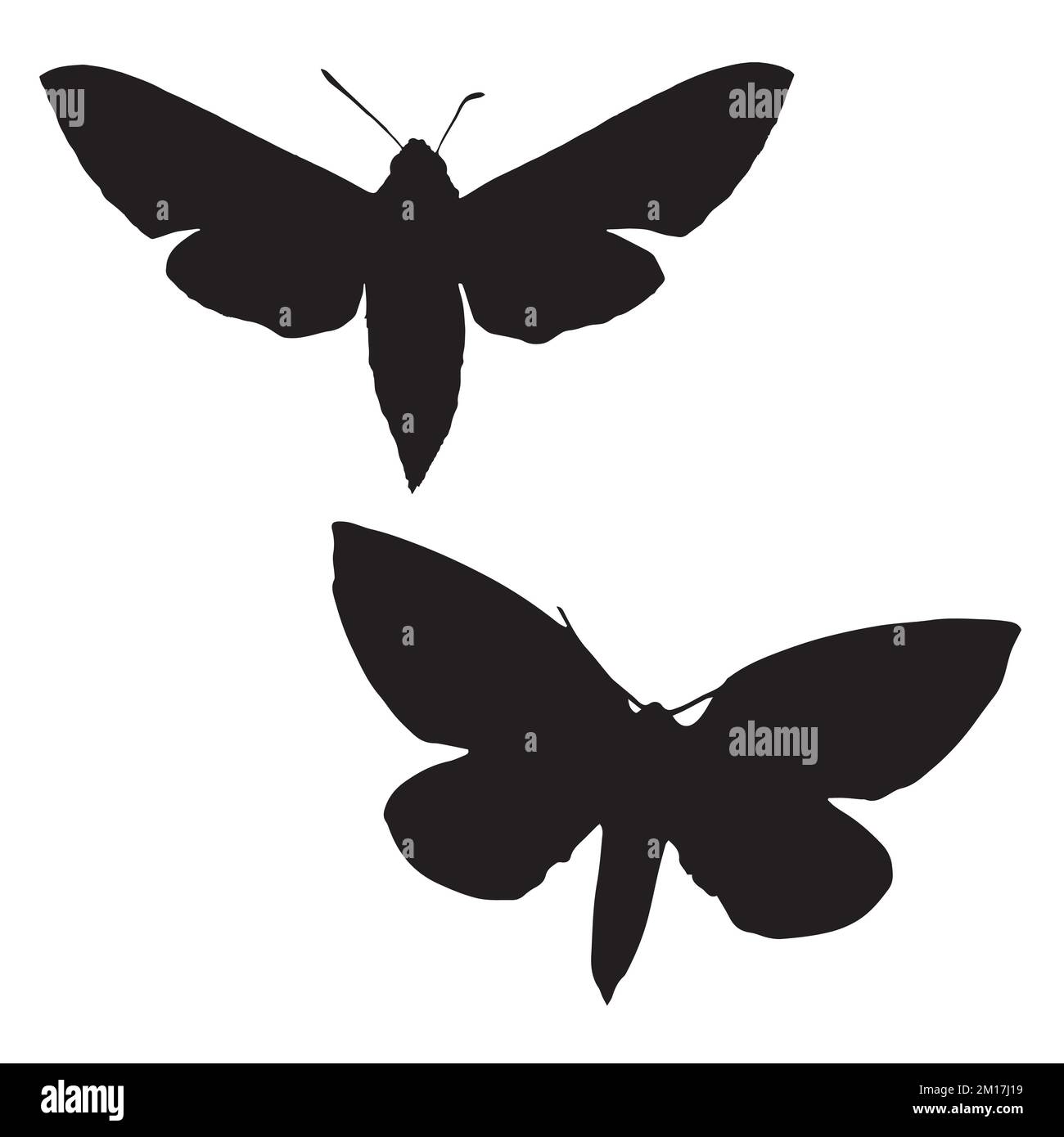 Moth Art Silhouette Stock Vector Image & Art - Alamy