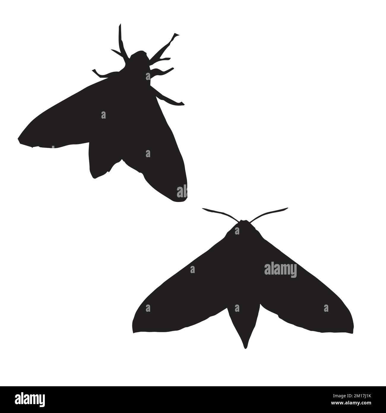Moth Art Silhouette Stock Vector Image & Art - Alamy