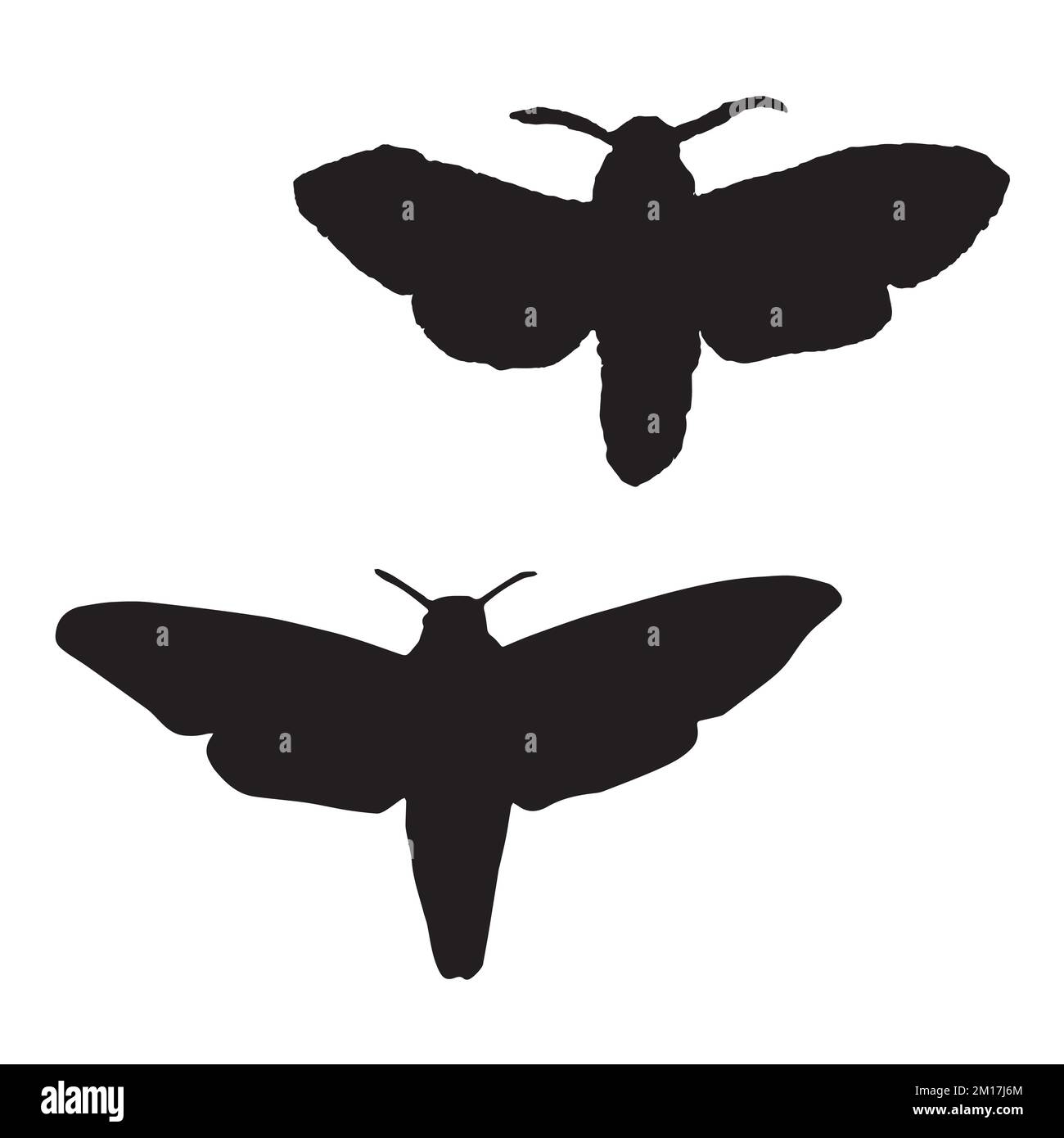Moth Art Silhouette Stock Vector Image & Art - Alamy