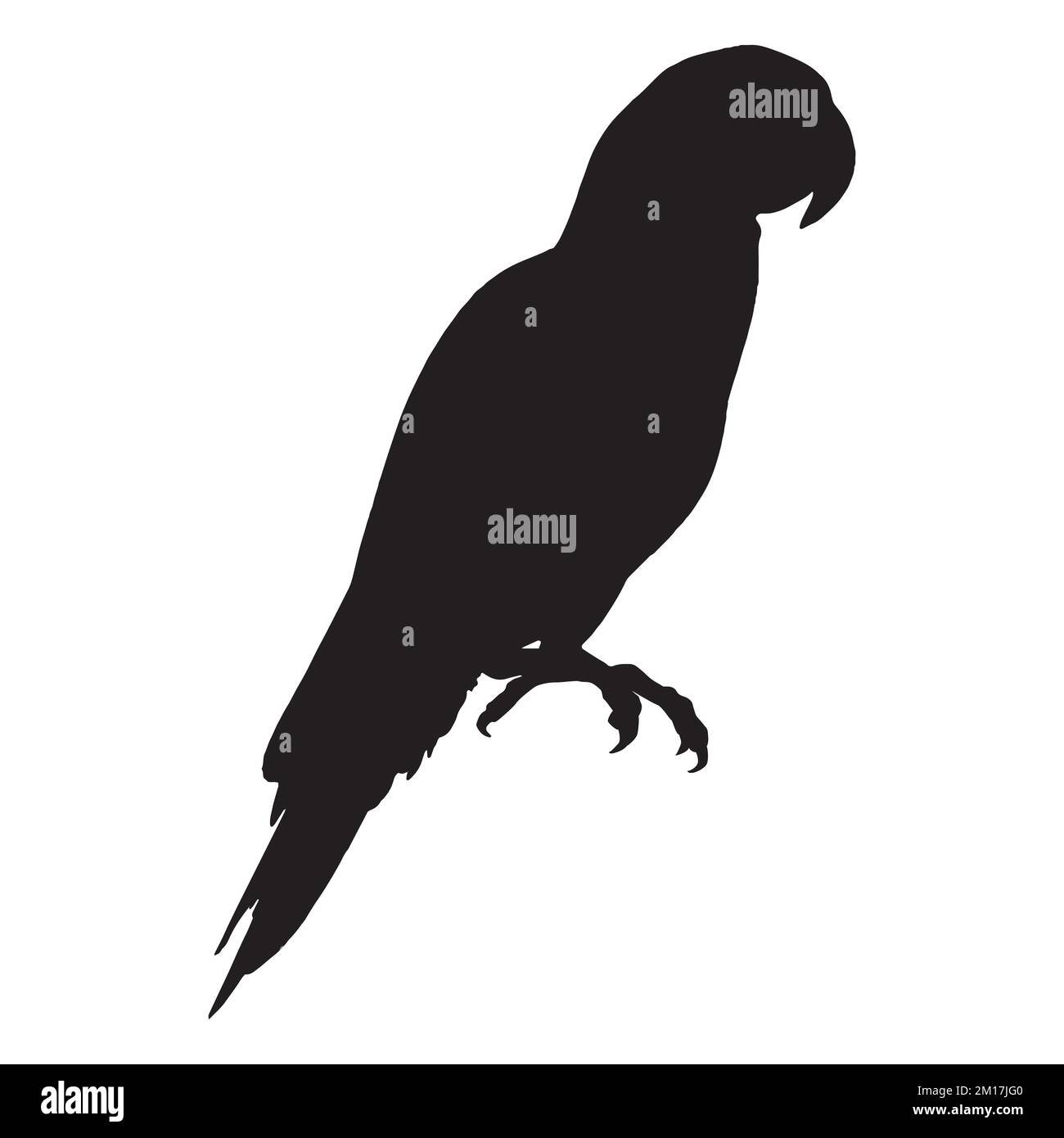 Vector Art of Parrot Silhouette Stock Vector Image & Art - Alamy