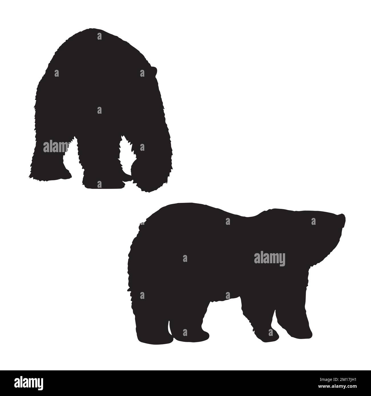 Cartoon polar bear Black and White Stock Photos & Images - Alamy