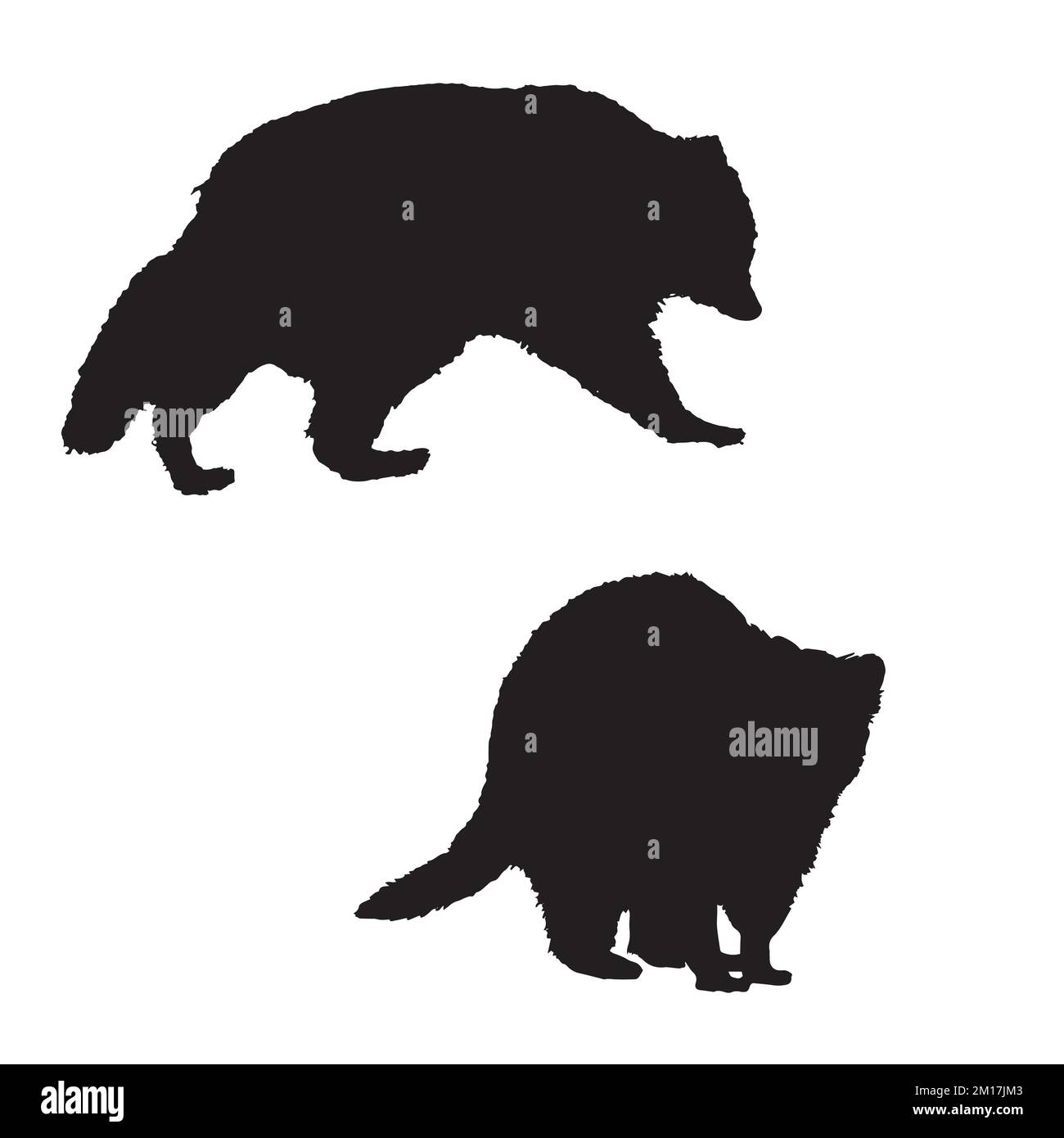 Vector Illustration of Raccoon Silhouette Stock Vector Image & Art - Alamy