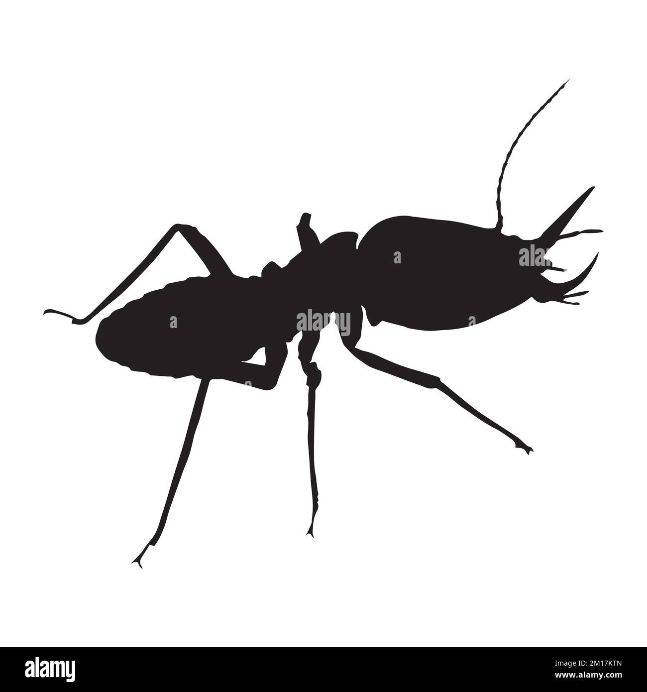 Vector Illustration of Termite Art Silhouette Stock Vector