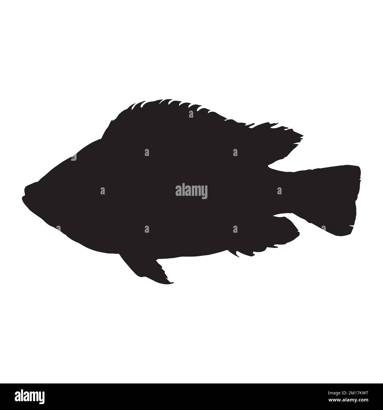 Vector Illustration of Tilapia Silhouette Art Stock Vector Image &amp; Art ...