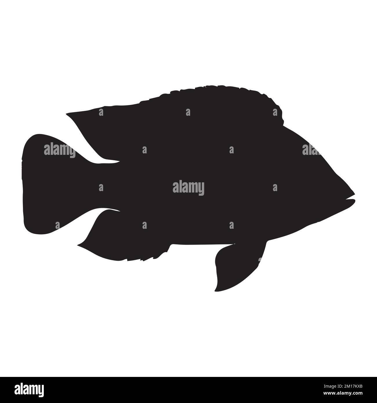 Vector Illustration of Tilapia Silhouette Art Stock Vector Image &amp; Art ...