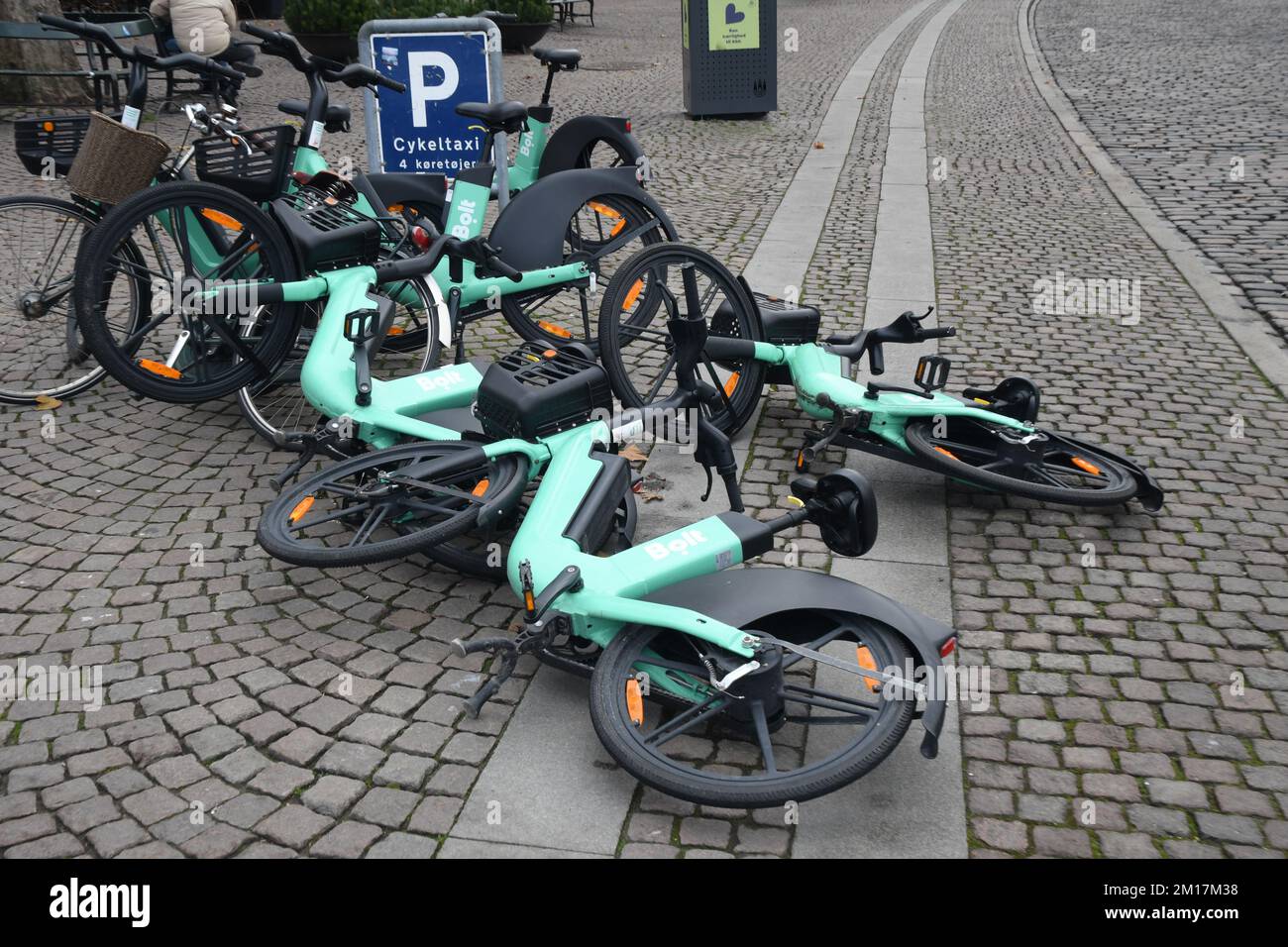 Danish 2024 electric bike