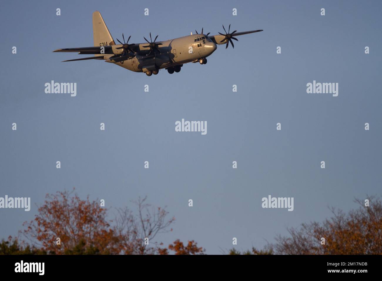 A Lockheed C130-T Hercules with the US Navy (USN) flying over trees ...