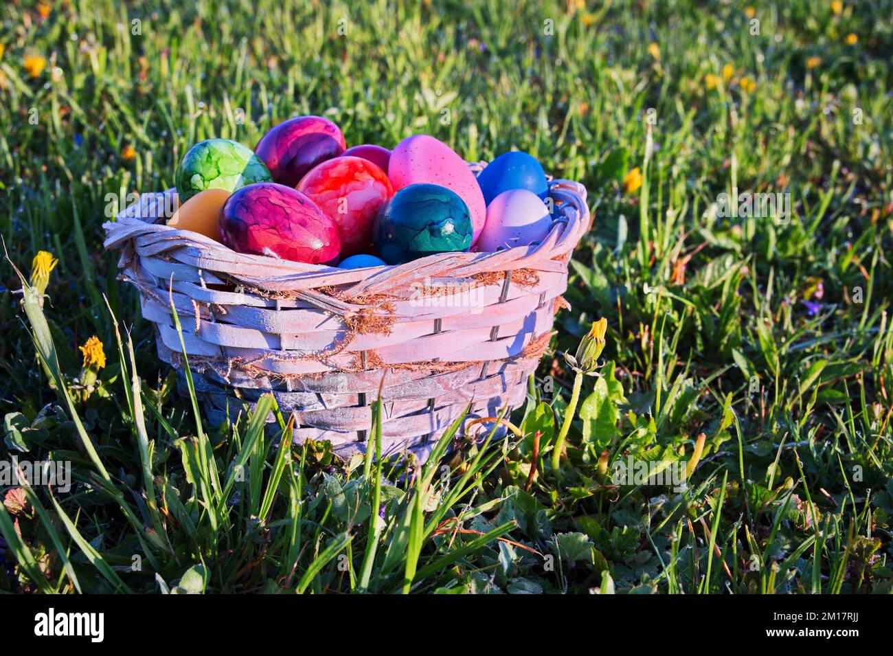 Easter eggs in wicker basket on green meadow Stock Photo