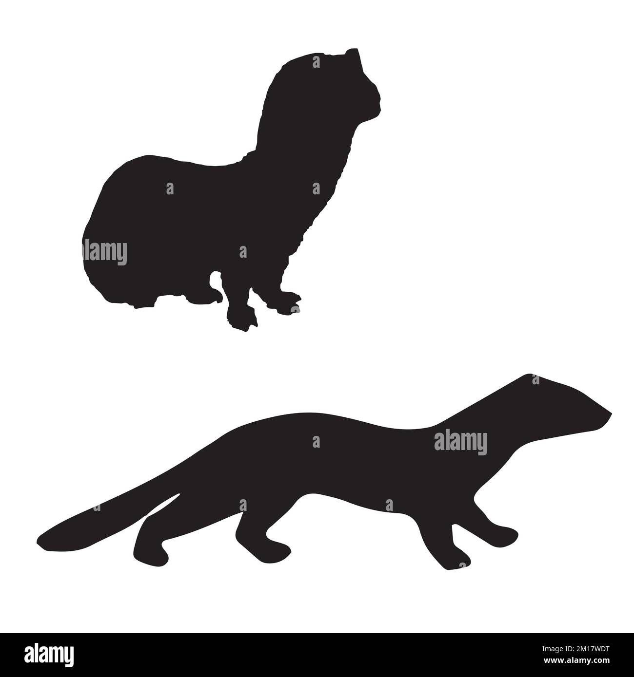 Vector Illustration of Weasel Silhouette Stock Vector