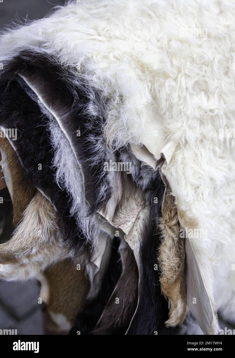 Detail of animal skins in an old market Stock Photo Alamy