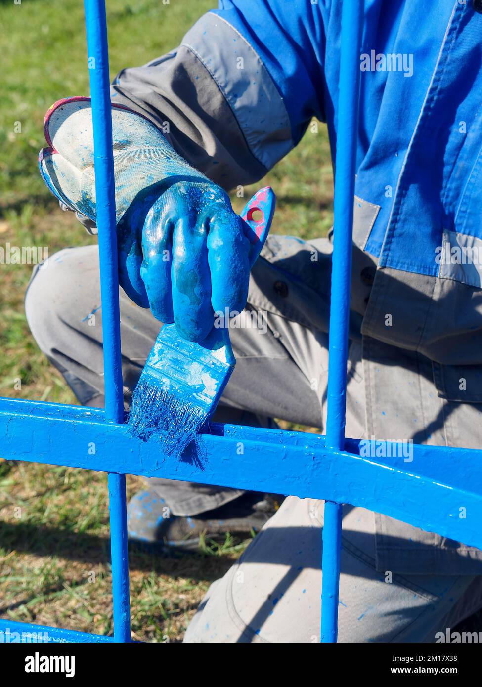 Industrial painter paints metal fence or fencing blue. Hand of worker in overalls with close-up paint brush. Authentic workflow. Background.. Stock Photo