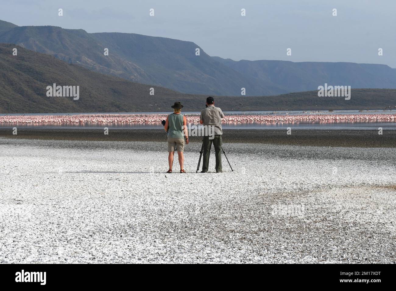 Photographer taking pictures of flamingos (Phoenicopteridae) at Lake Nakuru, Salt Lake, Rift Valley, Kenya, Africa Stock Photo