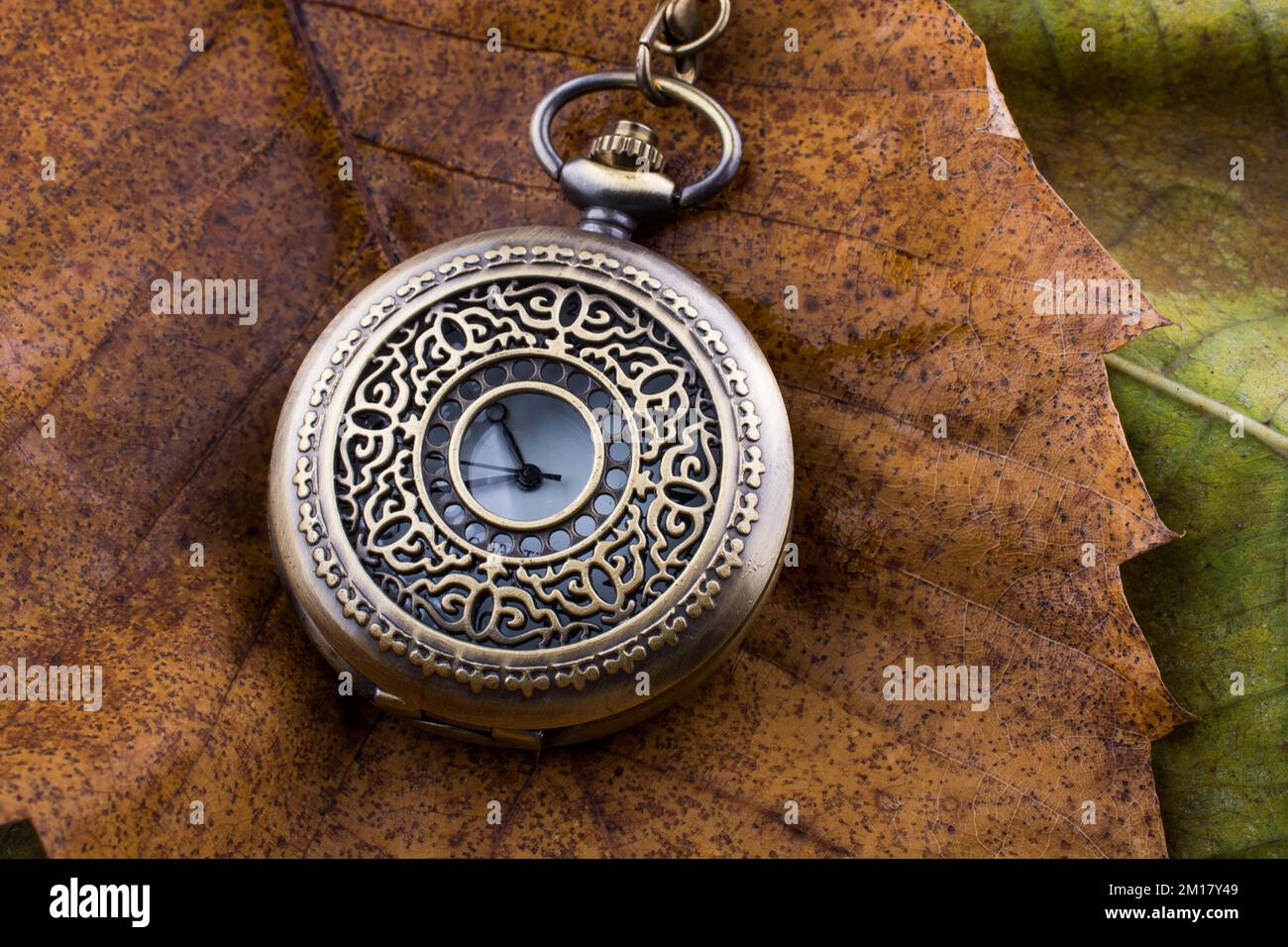 Retro style pocket watch placed on a dry leaves Stock Photo