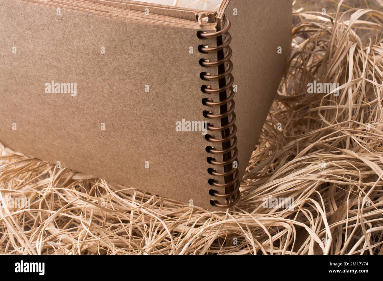 Spiral notebook placed on a straw background Stock Photo