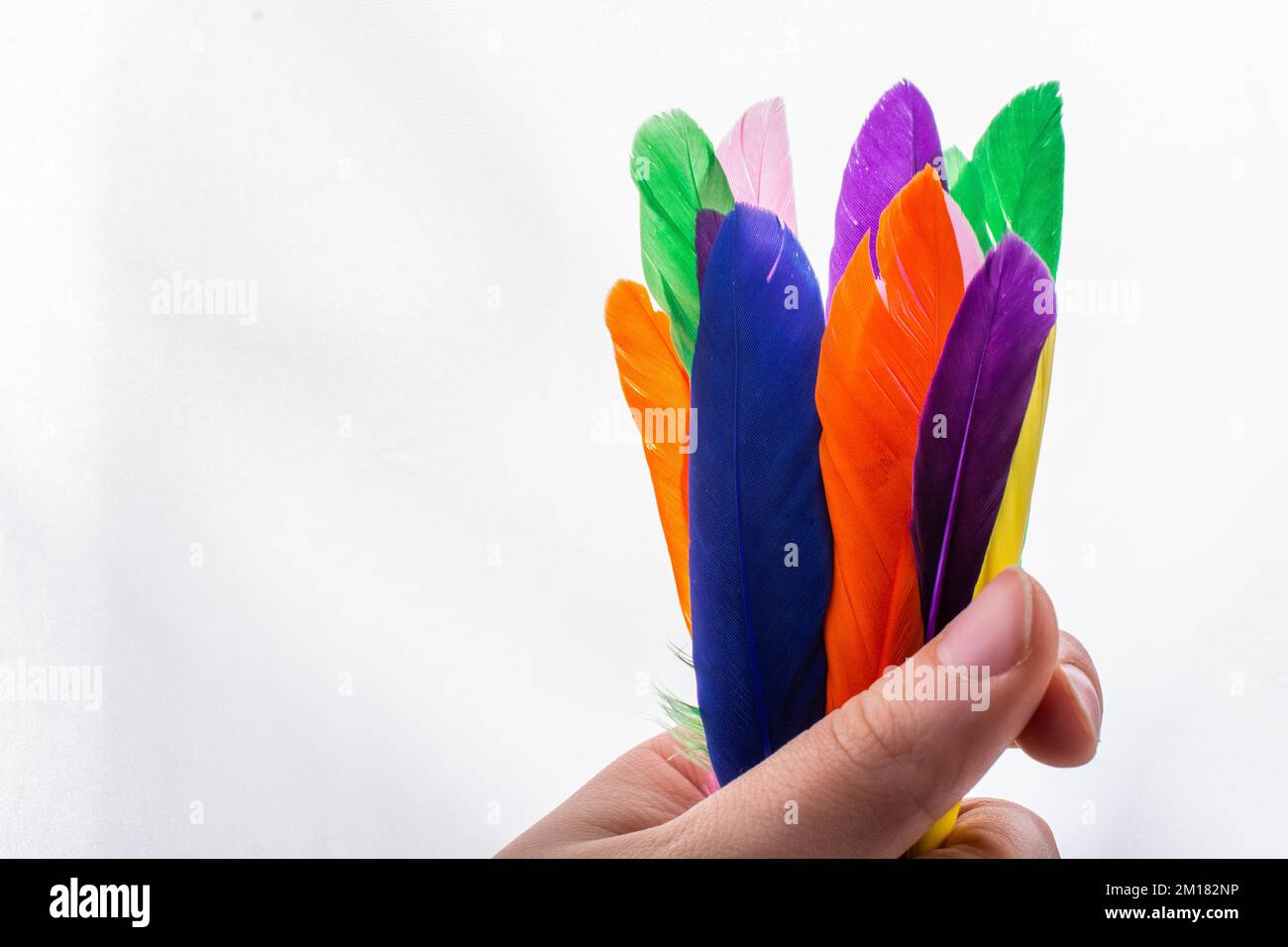 Studio shot bird feathers in hand on white background Stock Photo