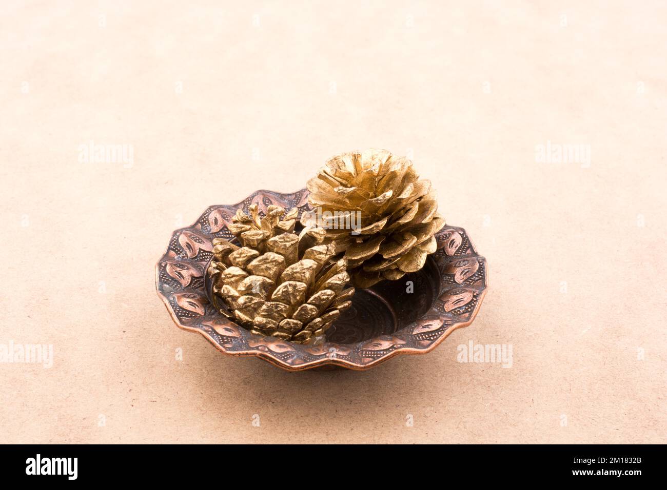 Pine cone on a light brown background Stock Photo