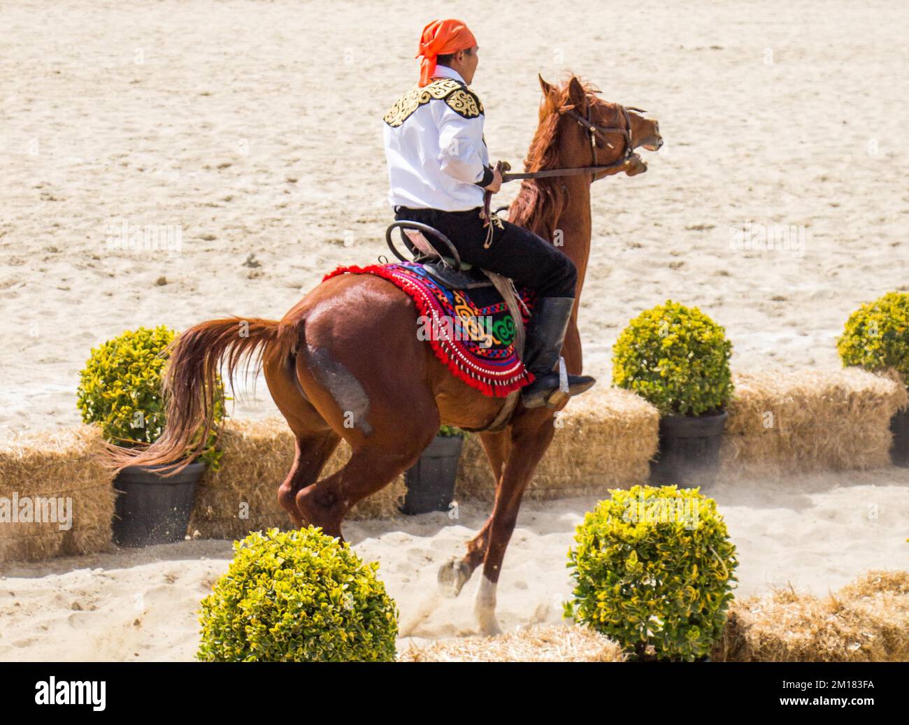 Horseman riding in their ethnic clothes on horseback Stock Photo Alamy