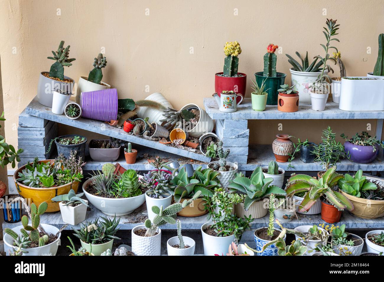 Plants stand collapsed with broken ceramic and tera cotta pots Stock