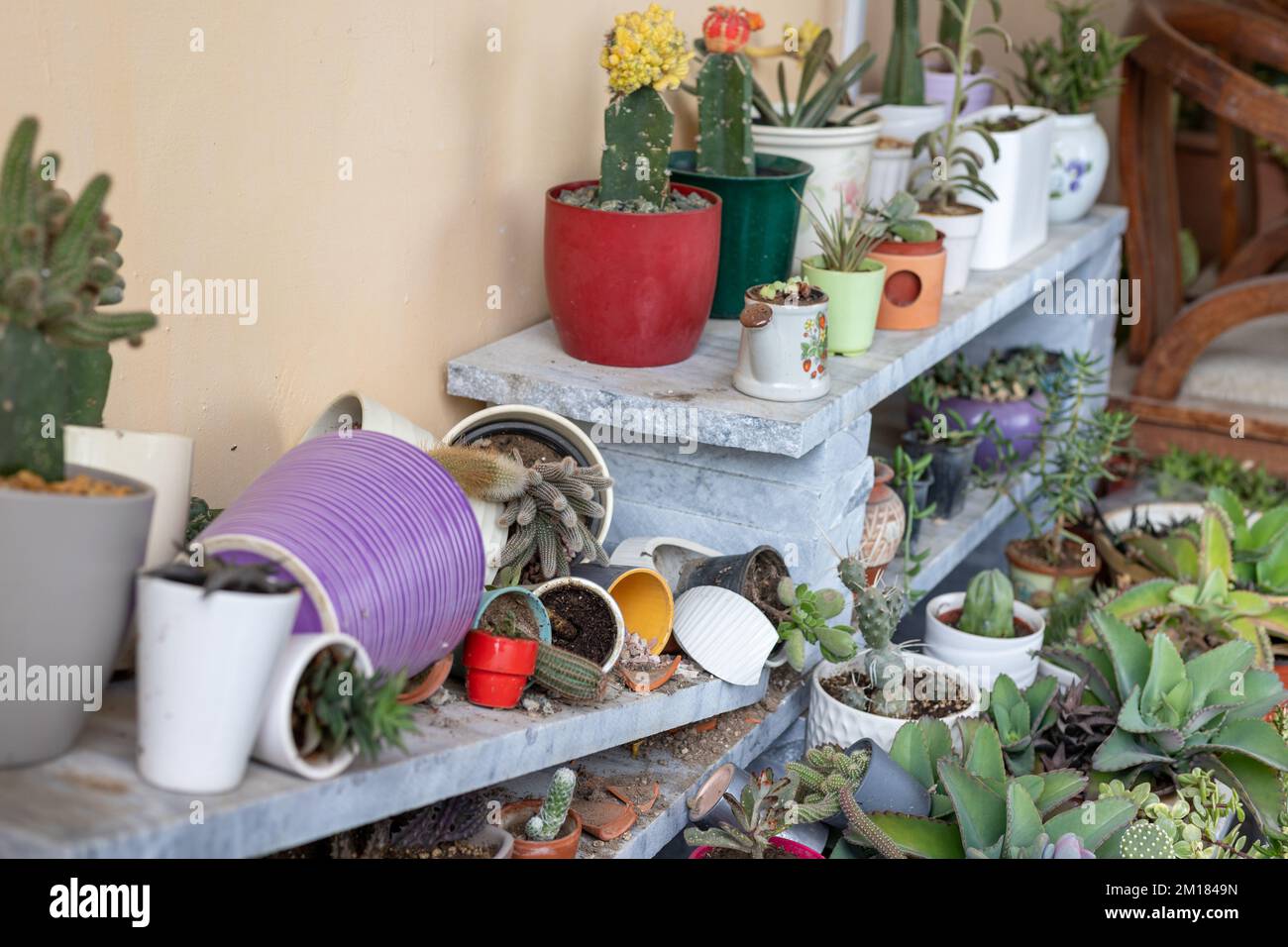 Gardening home chores of cleaning the dirt from broken flowerpots Stock Photo
