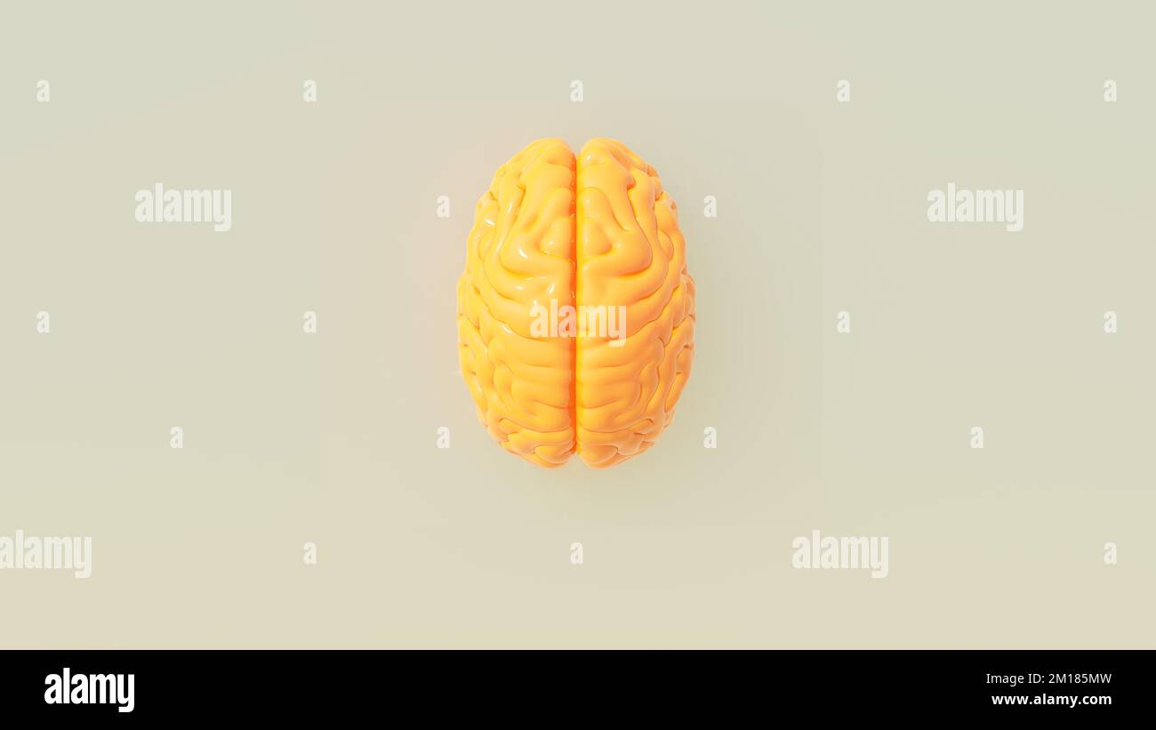 Yellow Orange Human Brain Cover Artwork Intelligence Mind Concept Warm