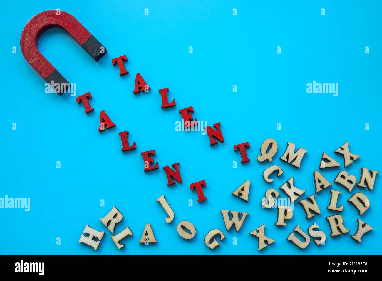 Talent management concept. The magnet attracts the word talent. Stock Photo