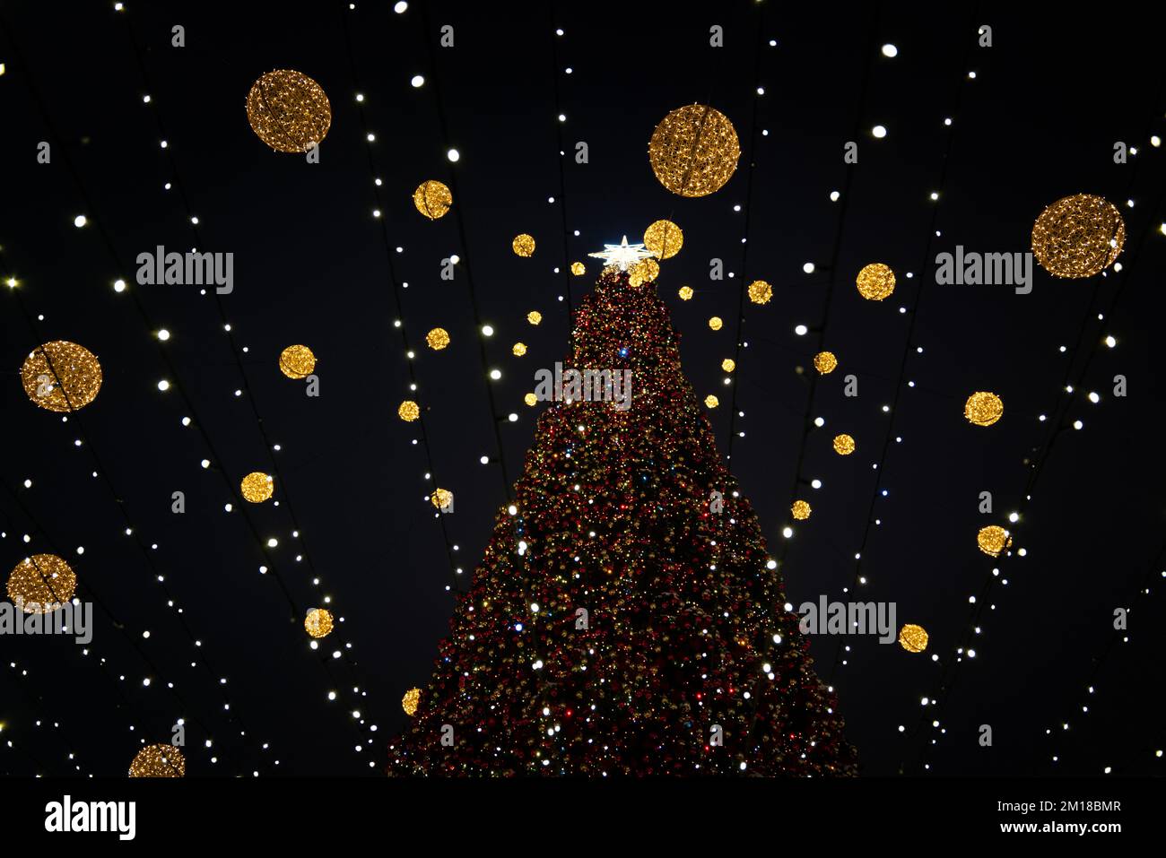 Kyiv Ukraine - 01.13.2022: The main Christmas tree of Ukraine on St. Sophia Square, Kyiv in 2022 Stock Photo