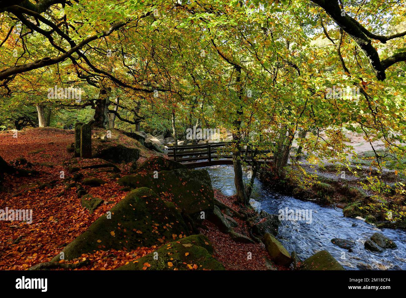 Wooden footbridge Peak District  Derbyshire England Stock Photo