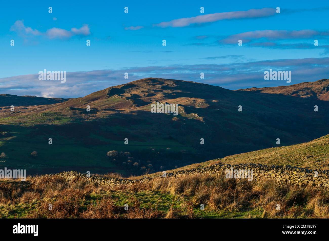 Sallows seen from across the Kentmere Valley of Cumbria Stock Photo - Alamy