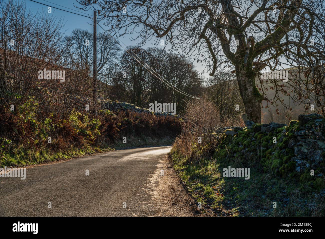 Road to Croft Head in the Kentmere Valley, Cumbria Stock Photo Alamy